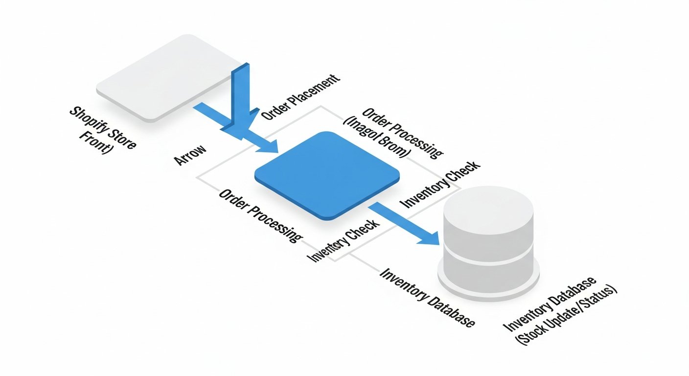 inventory management for shopify - infographic 4 illustration